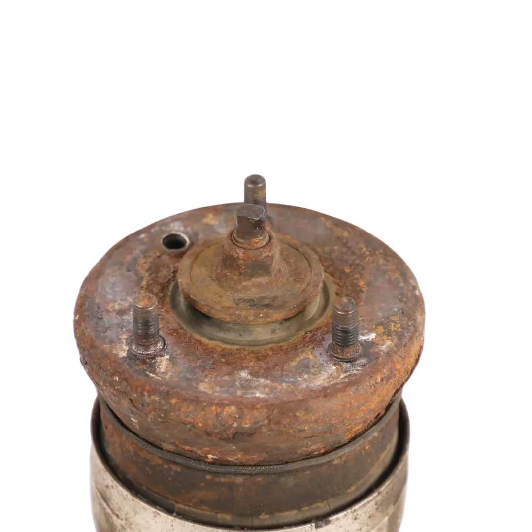 Amortiguador Delantero Izquierdo para Land Rover Range Rover Sport L320 con número de pieza 22227491 Land Rover Range Rover Sport L320 Amortiguador Delantero Izquierdo - SKU 22227491 - Número de pieza 22227491
