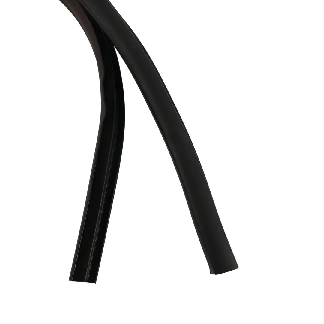 Ford Fiesta Mk5 Front Door Weatherstrip Seal Gasket Left N/S - SKU 2S51-B20709-AF - Part number 2S51-B20709-AF
