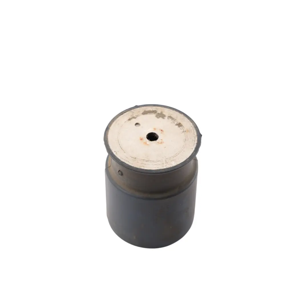  Inny BMW E81 E87 E60 E61 E90 E91 Absorbeur Vibrations 32Hz - SKU 3413587 - Numéro de pièce 3413588