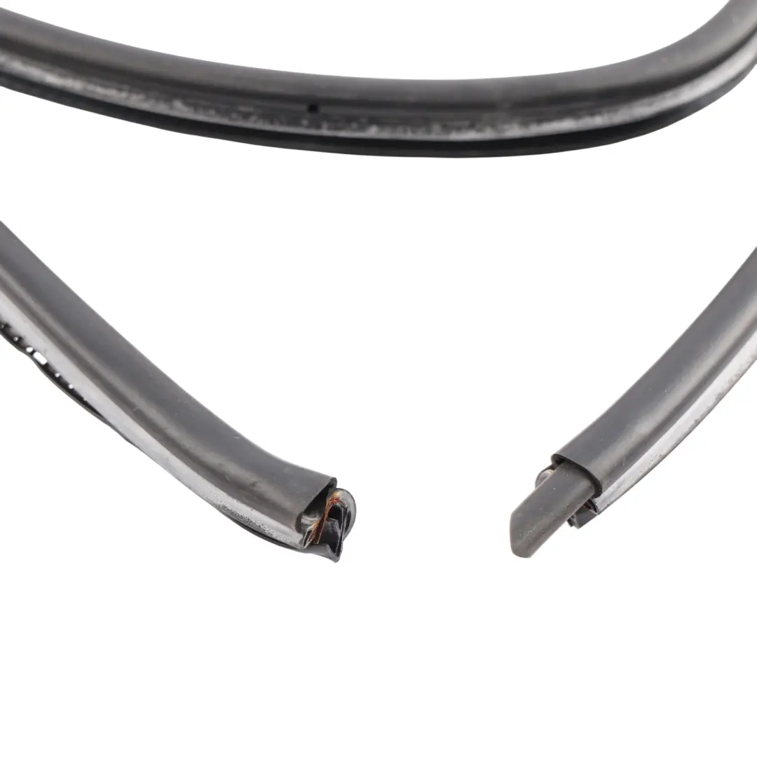 BMW E61 Junta Goma Puerta Trasera Izquierda Derecha - SKU 7010859 - Número de pieza 7010859