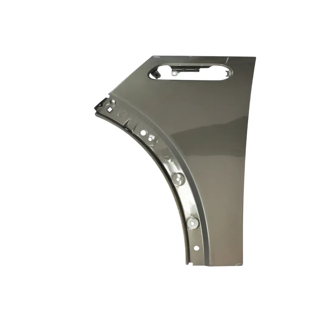 Mini R50 R52 R53 Parafango Anteriore Sinistro Grigio Reale A48 - SKU 7037437-ROG6 - Numero di parte 7037437