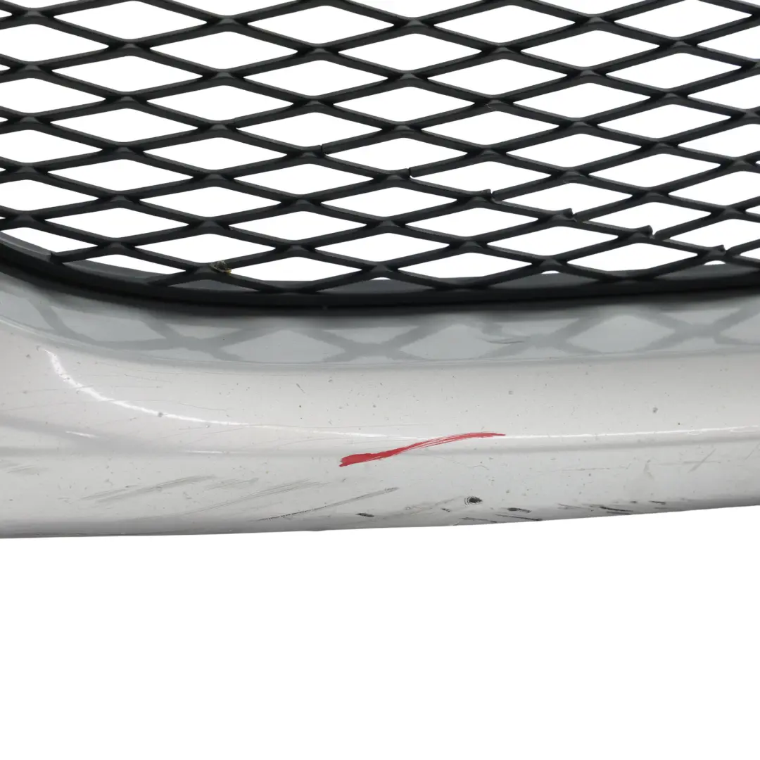 BMW E90 E91 LCI Front Bumper Trim Panel Titansilber Metallic - 354 - SKU 7204247-TS - Part number 7204247