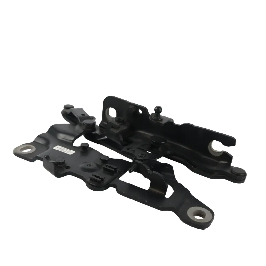 Charnière Capot Moteur Gauche Noir 2 Black - 668 pour BMW F10 F11 à propos du numéro de pièce 7249887 BMW F10 F11 Charnière Capot Moteur Gauche Noir 2 Black - 668 - SKU 7249887-SCH - Numéro de pièce 7249887