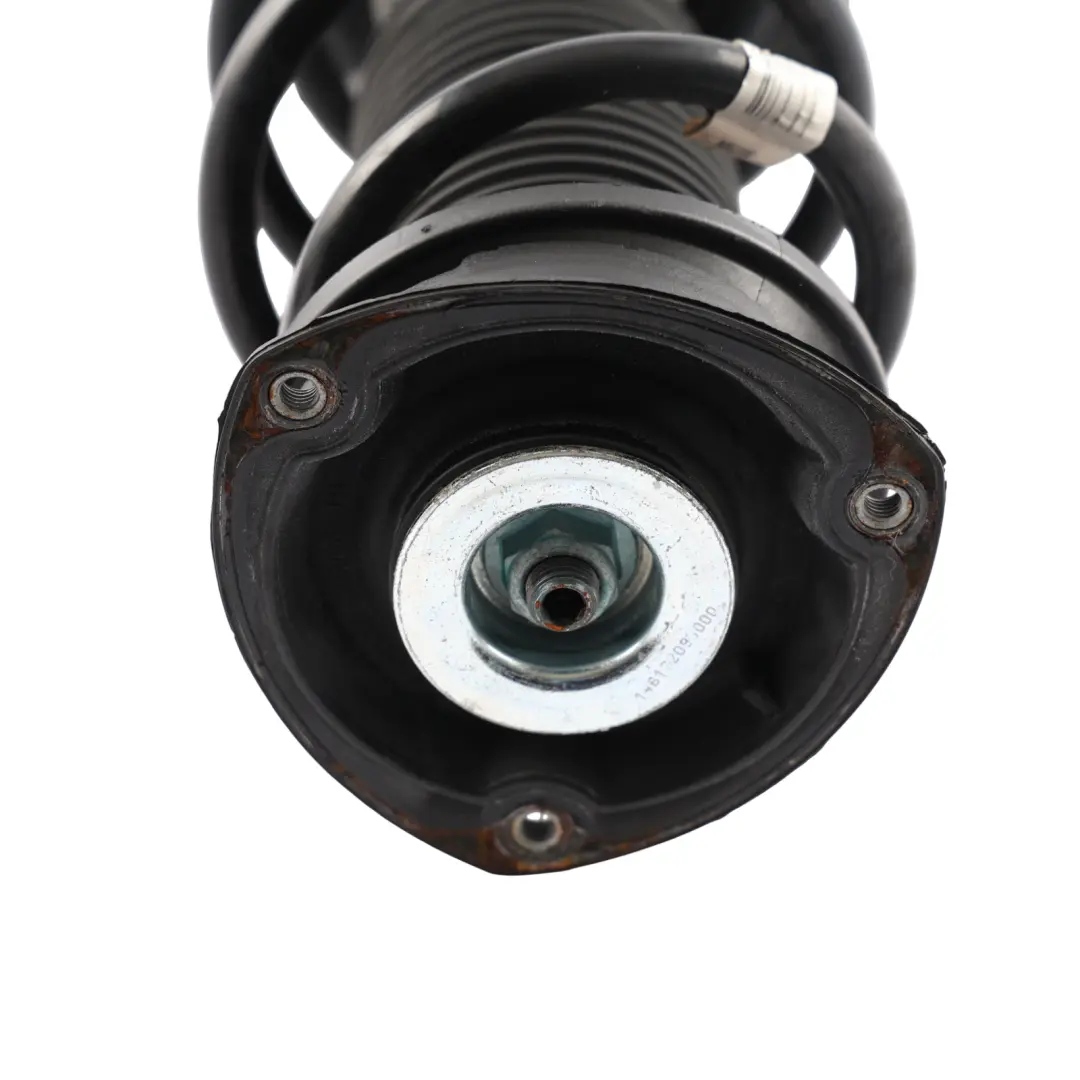 Audi RSQ3 F3 Spring Strut Shock Absorber Front Left Right N/O/S - SKU 83A413031 - Part number 83A413031
