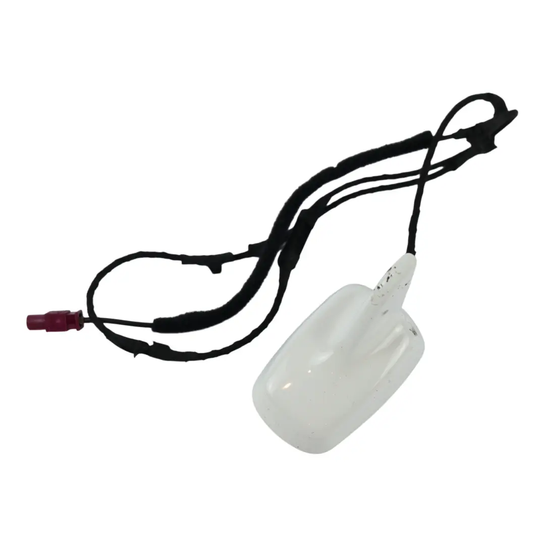 Amplificatore Antenna Pinna Squalo Bianco Ibis Y9C per Audi A5 8T con numero di parte 8T0035503G Audi A5 8T Amplificatore Antenna Pinna Squalo Bianco Ibis Y9C - SKU 8T0035503G-IWH - Numero di parte 8T0035503G