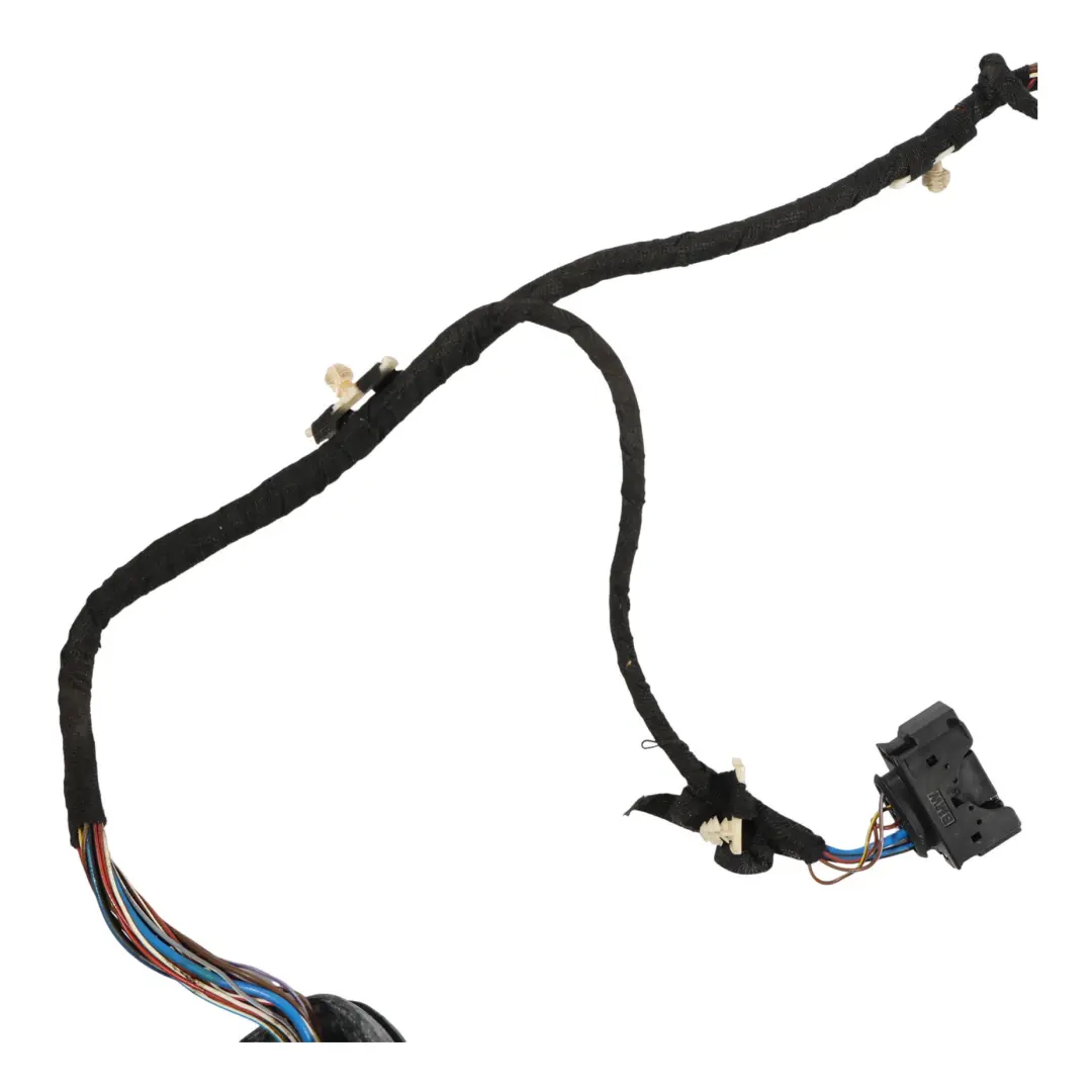 BMW F20 F21 Faisceau Câblage Porte Avant Droit - SKU 9291954 - Numéro de pièce 9291954