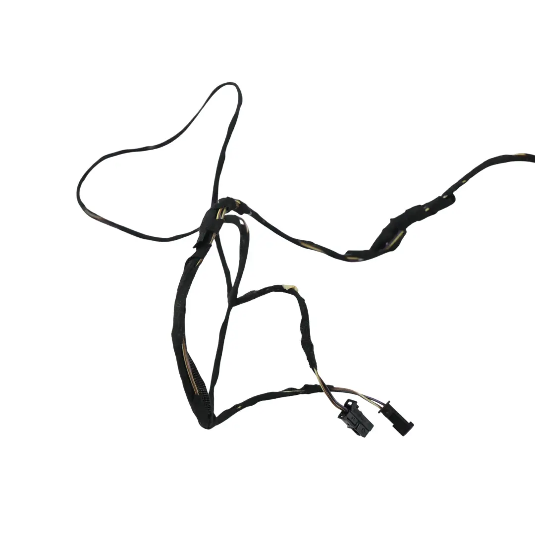 Door Wiring Harness Control Module Front Left N/S to Mercedes C117 with Part number A1175401605 Mercedes C117 Door Wiring Harness Control Module Front Left N/S - SKU A1175401605 - Part number A1175401605