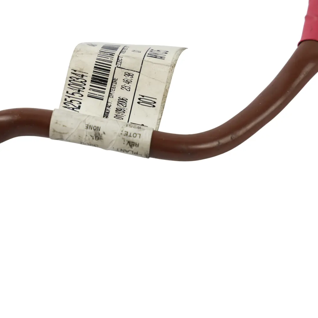 Mercedes W251 Massekabel Batterie Kabelbaum Leitung - SKU A2515400341 - Teilenummer A2515400341