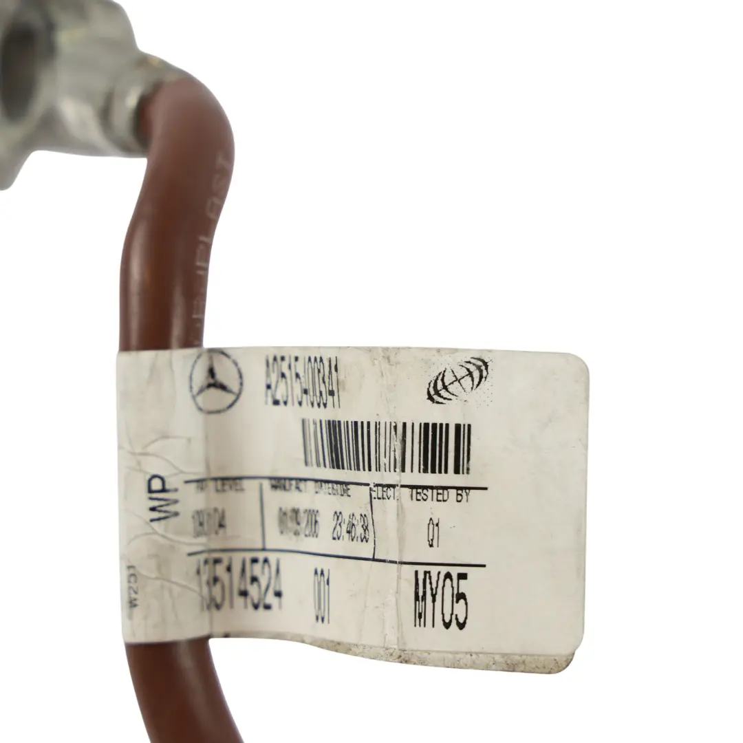 Mercedes W251 Massekabel Batterie Kabelbaum Leitung - SKU A2515400341 - Teilenummer A2515400341