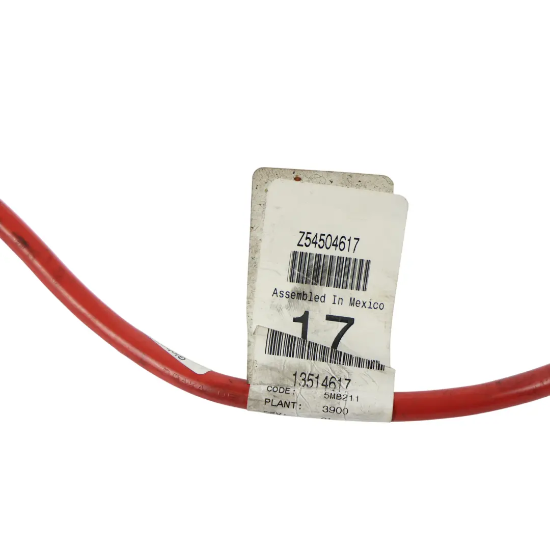 R320 W251 Cablaggio Cavi Batteria Positivo Plus + per Mercedes con numero di parte A2515408635 Mercedes R320 W251 Cablaggio Cavi Batteria Positivo Plus + - SKU A2515408635 - Numero di parte A2515408635