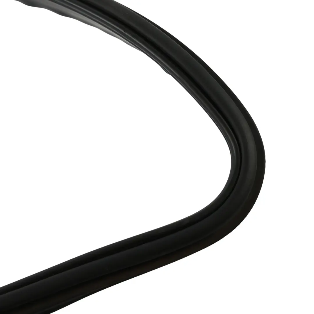 Mercedes W251 Side Window Shielding Seal Gasket Strip Rear Right O/S - SKU A2516702239 - Part number A2516702239