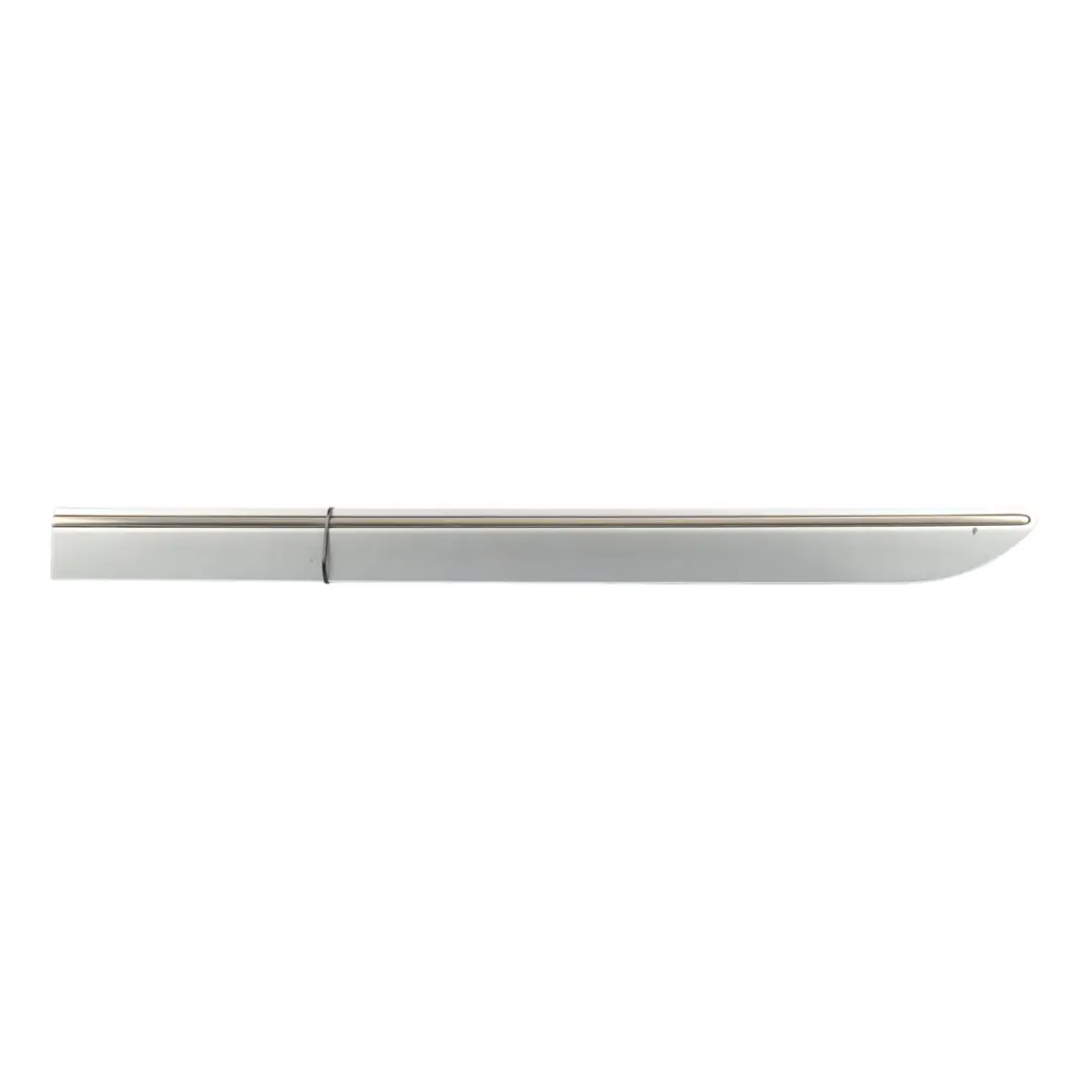 Exterior Door Strip Trim Rear Left N/S Silver 775 to Mercedes W251 with Part number A2516902362 Mercedes W251 Exterior Door Strip Trim Rear Left N/S Silver 775 - SKU A2516902362-IRS - Part number A2516902362