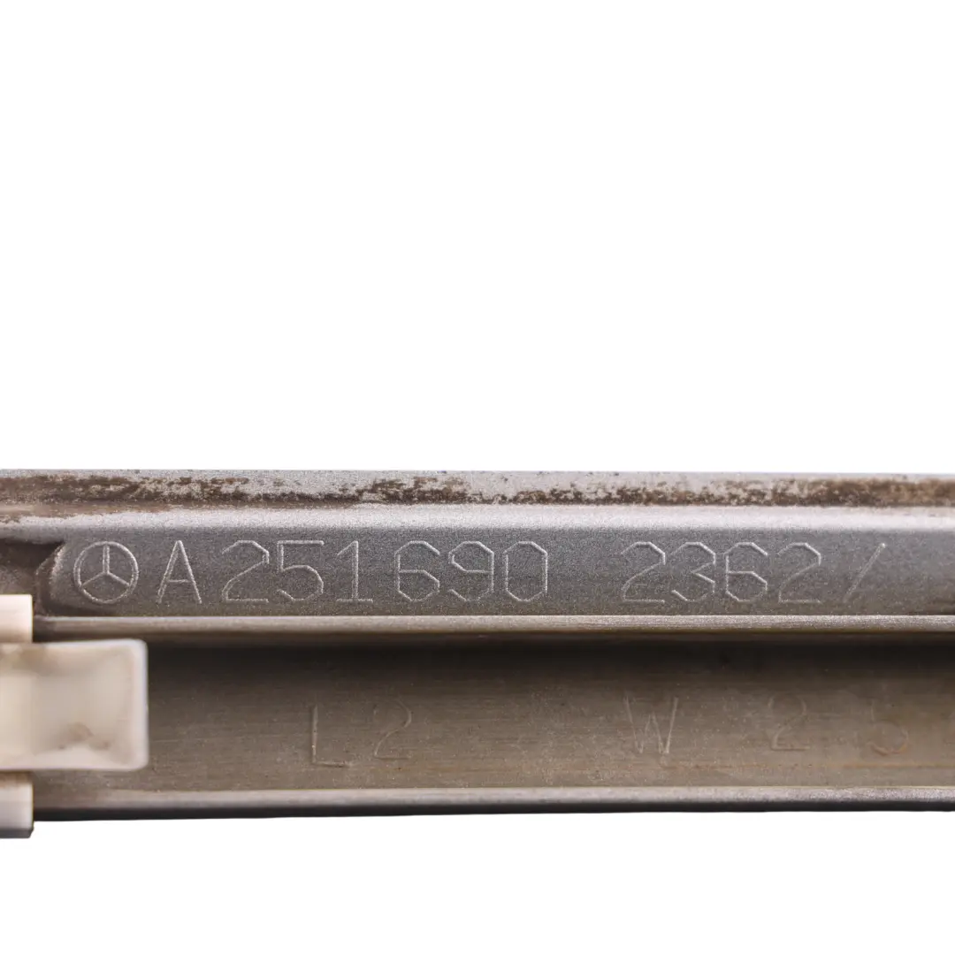 Mercedes W251 Exterior Door Strip Trim Rear Left N/S Silver 775 - SKU A2516902362-IRS - Part number A2516902362
