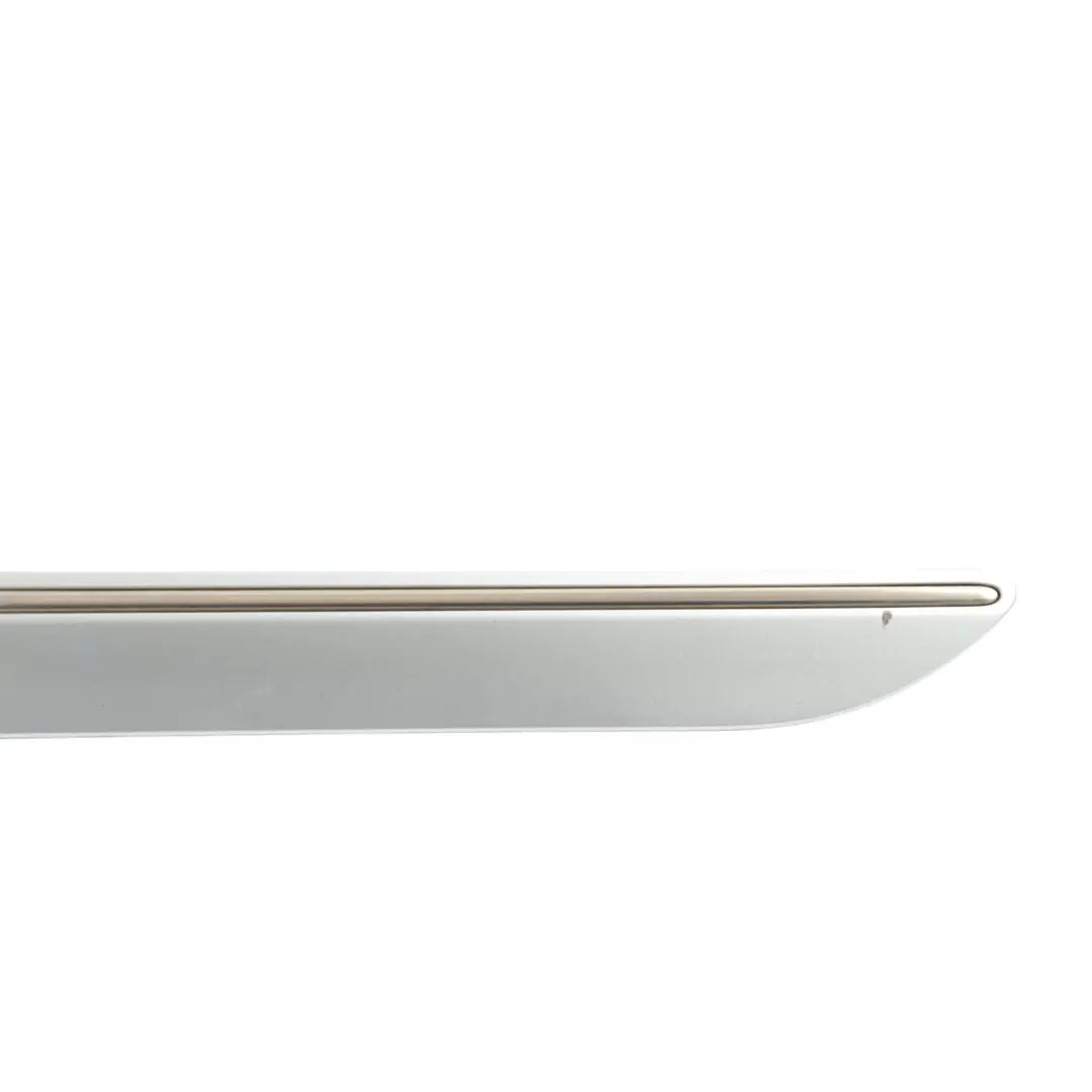 Mercedes W251 Exterior Door Strip Trim Rear Left N/S Silver 775 - SKU A2516902362-IRS - Part number A2516902362