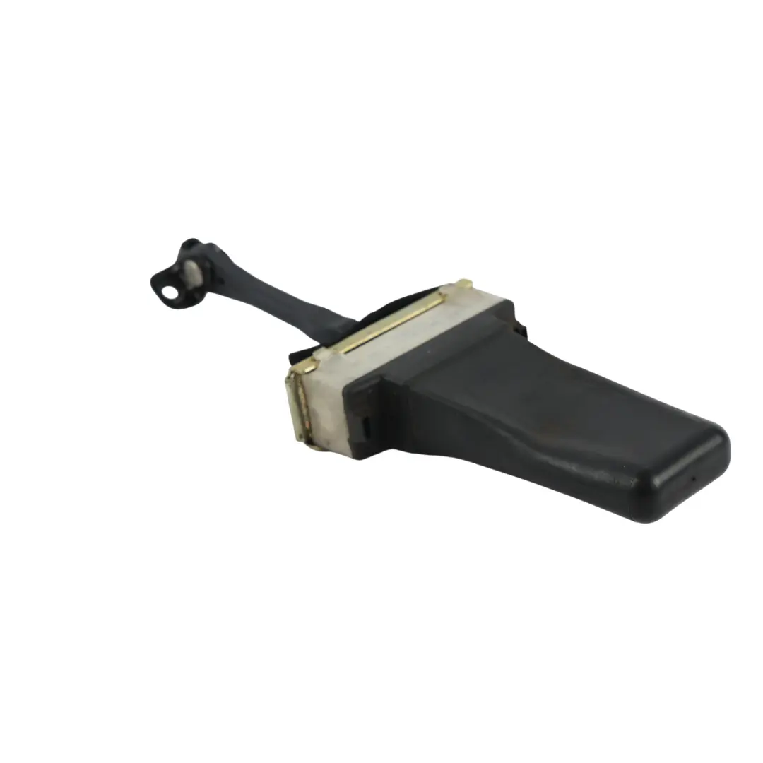 Range Rover Sport L320 Rear Door Check Strap Left Right N/O/S - SKU BFH790011 - Part number BFH790011