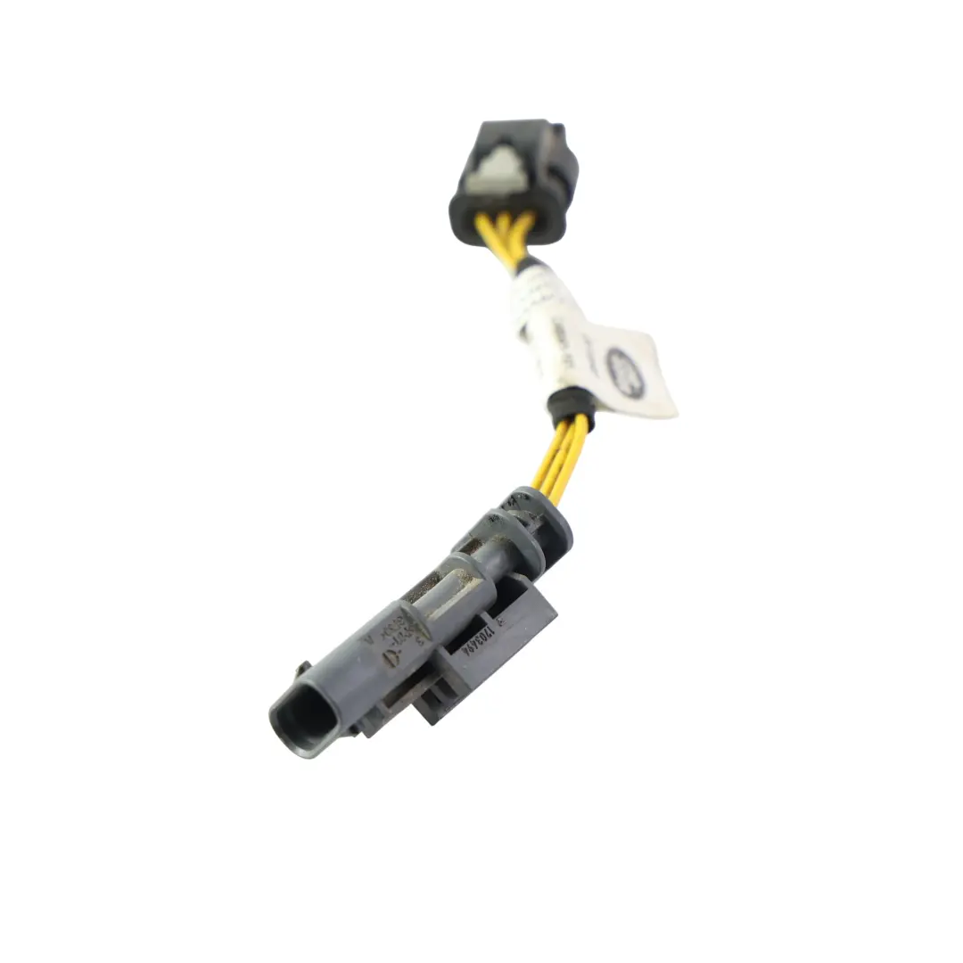 Range Rover Sport L494 Module Faisceau Câblage Hayon Arrière - SKU C48041101 - Numéro de pièce C48041101