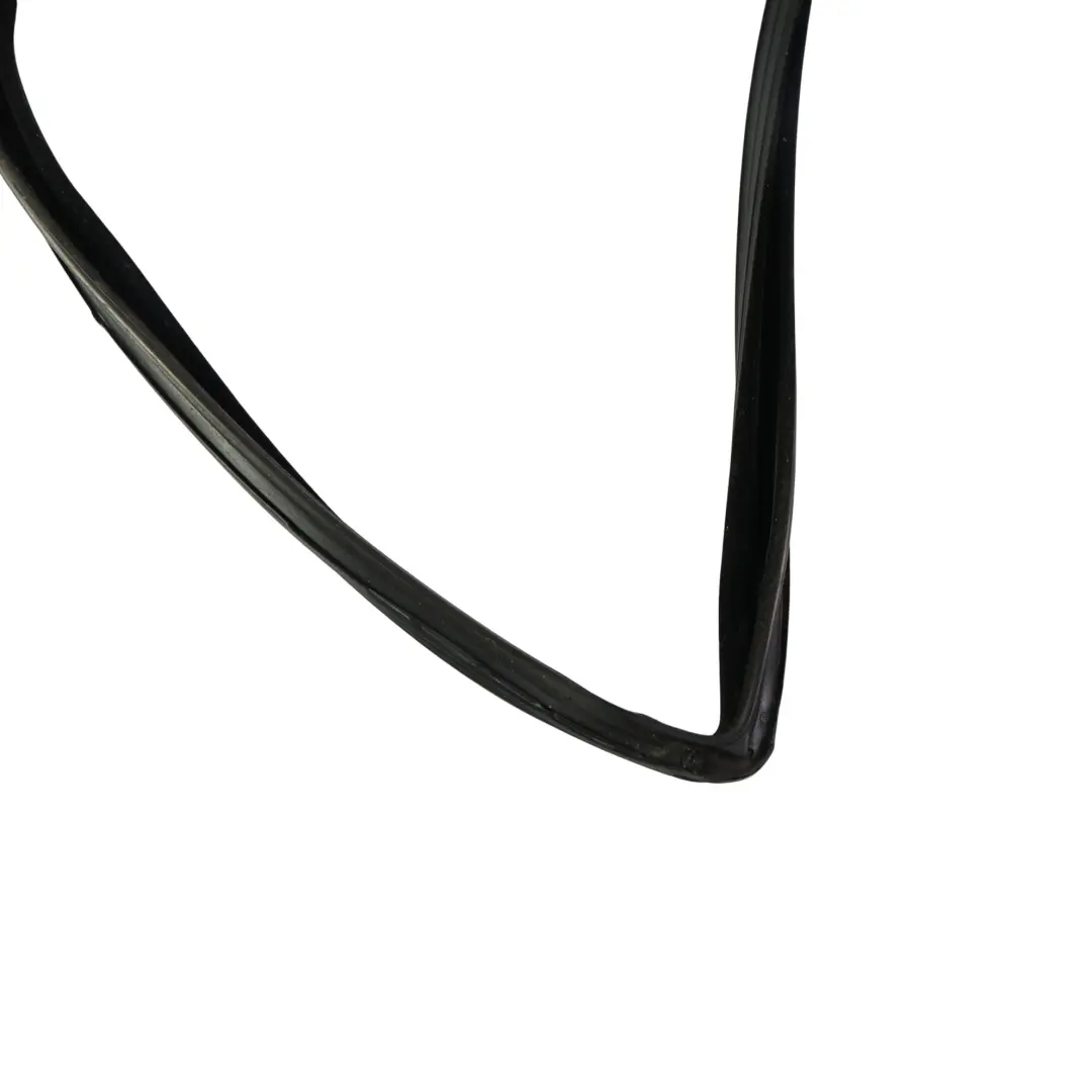 Türglas Dichtung Gummi Vorne Links für Land Rover Range Rover Sport L320 mit Teilenummer CFE000794 Land Rover Range Rover Sport L320 Türglas Dichtung Gummi Vorne Links - SKU CFE000794 - Teilenummer CFE000794