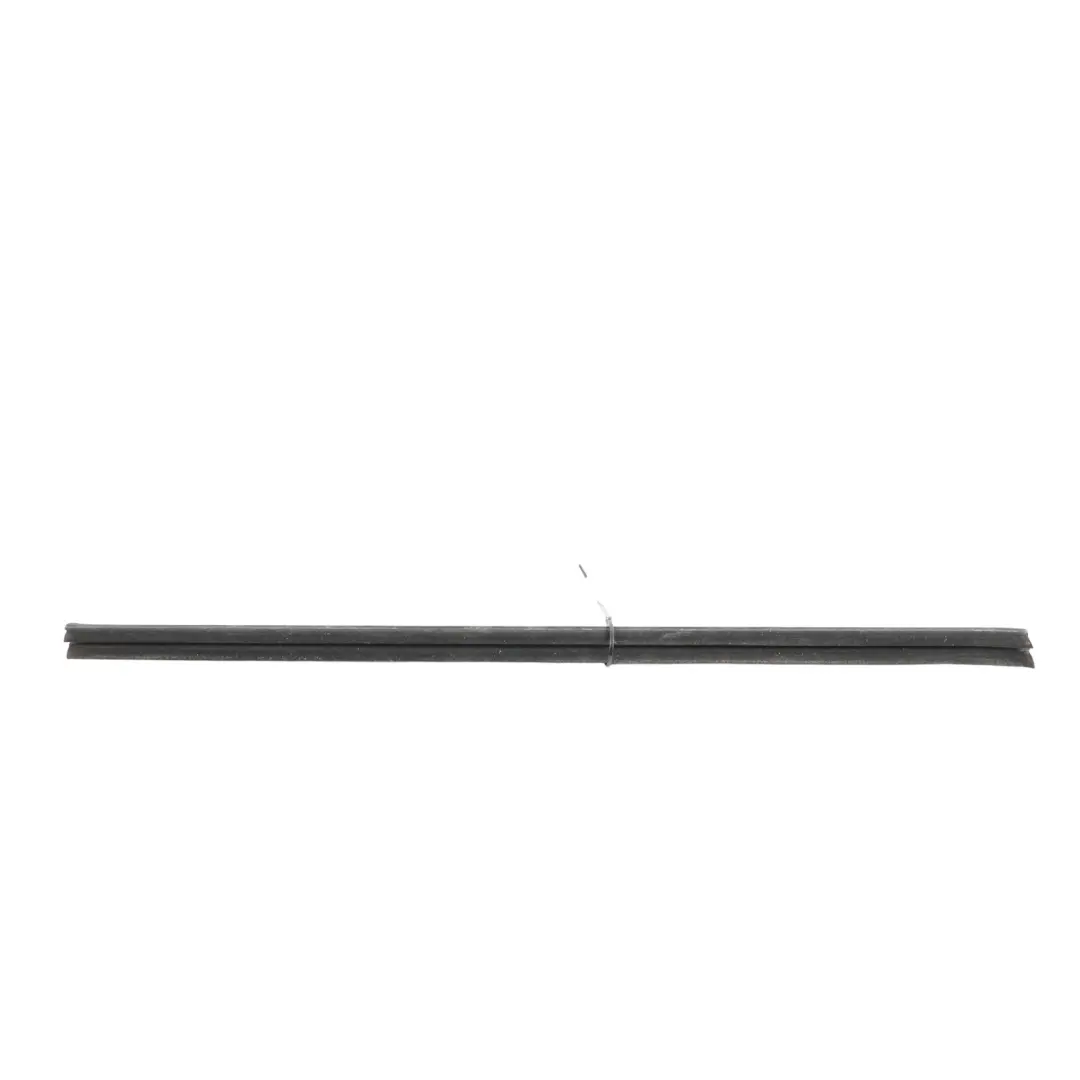 Range Rover Sport L320 Front Door Window Weatherstrip Inner Left N/S - SKU CGE000902 - Part number CGE000902
