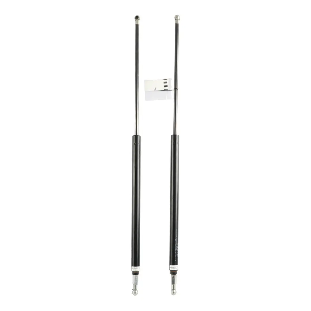 NitroLift Adjustable Force Gas Strut M8 x 1.25 to with Part number GSV10 NitroLift Adjustable Force Gas Strut M8 x 1.25 - SKU GSV10-300 - Part number GSV10