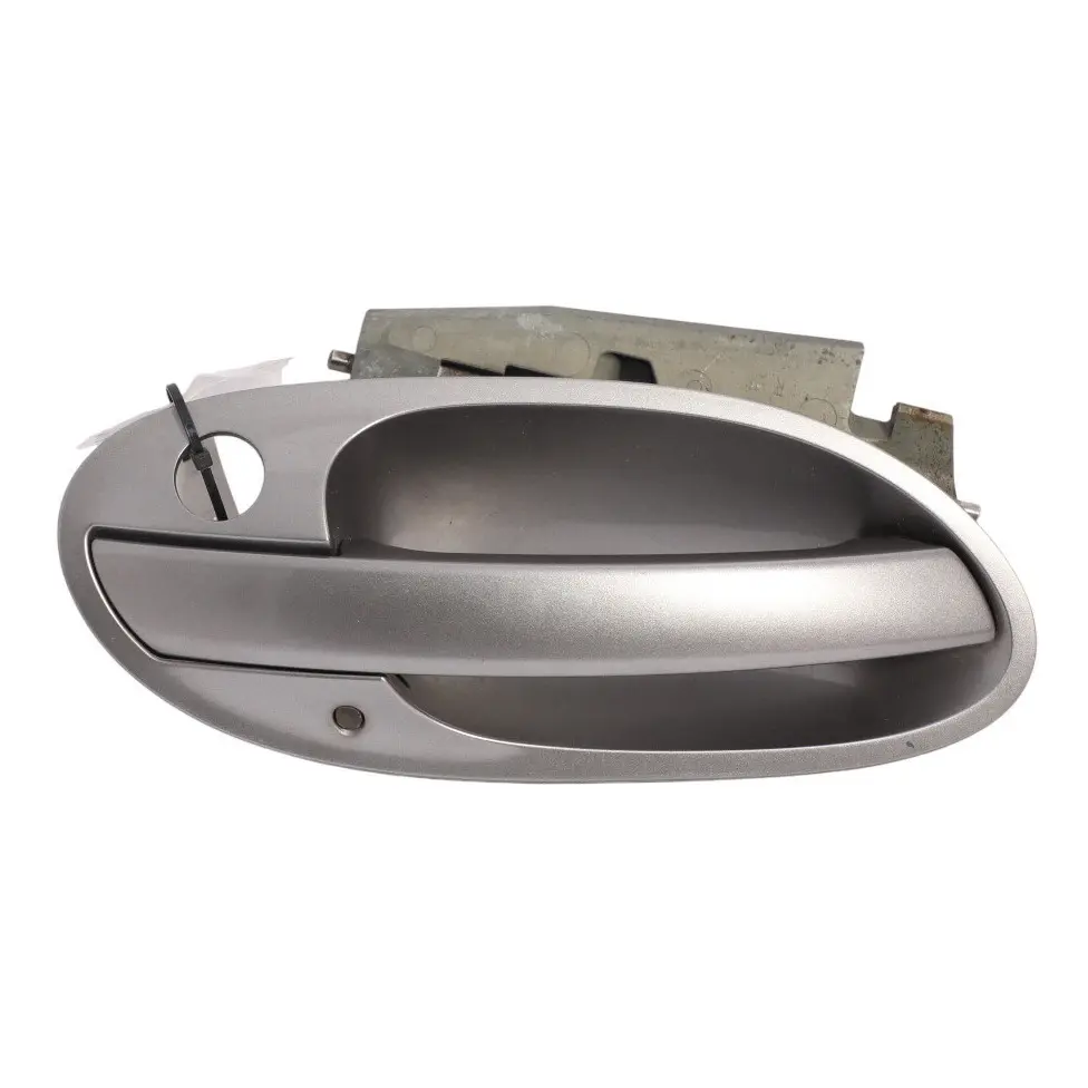 BMW E65 Grab Handle Door Opener Front Right O/S Sterlinggrau Grey Metallic - 472