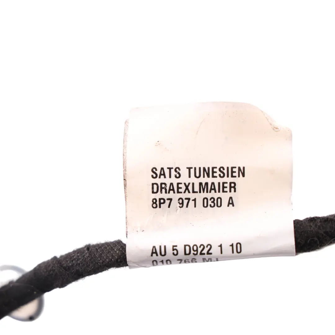 Audi A3 8P7 Front Door Wiring Cable Harness Driver's Side - SKU RHD-8P7971030A - Part number 8P7971030A