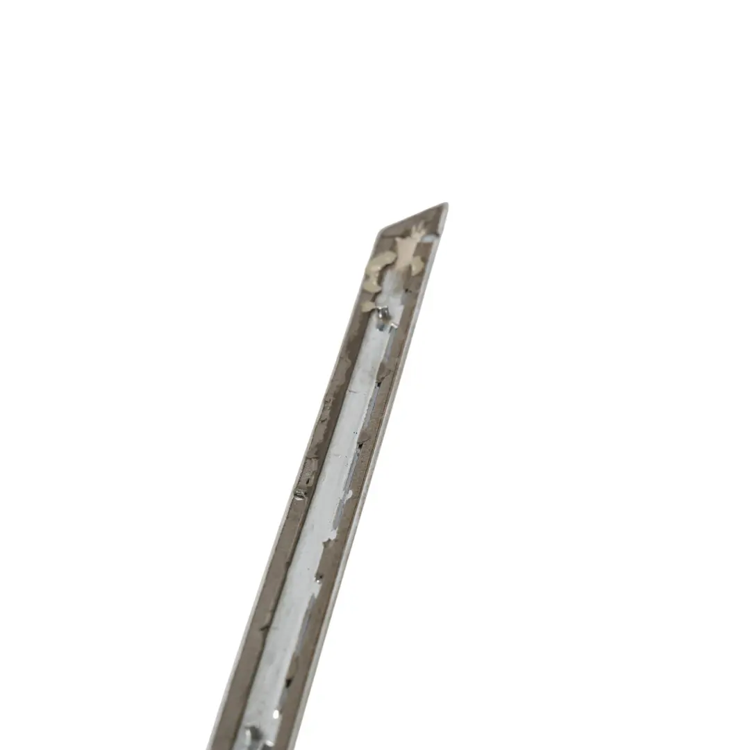 Volkswagen Passat B6 Tür Chrom Schutzleiste Hinten Links - SKU 3C0853753C - Teilenummer 3C0853753C