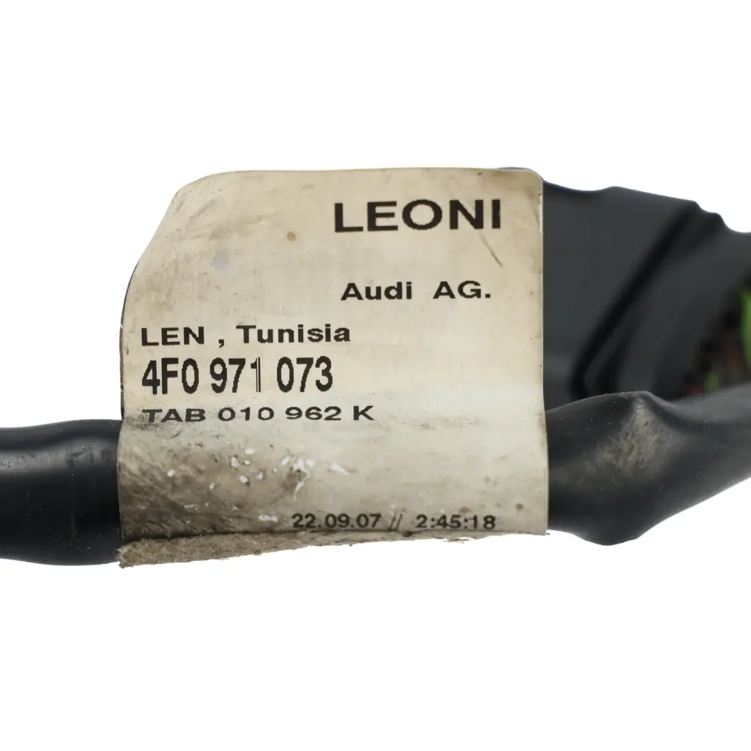 Audi A6 C6 Cablaggio Fascio Cavi Pannello Anteriore - SKU 4F0971073 - Numero di parte 4F0971073