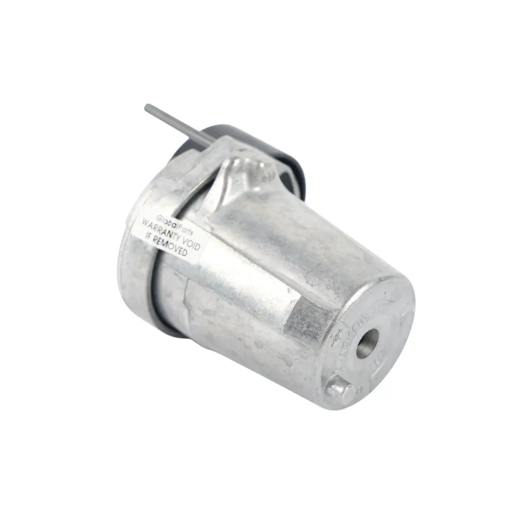 BMW E70 E71 E81 E87 Napinacz Paska Wielorowkowego - SKU 534032010 - Numer Części 534032010