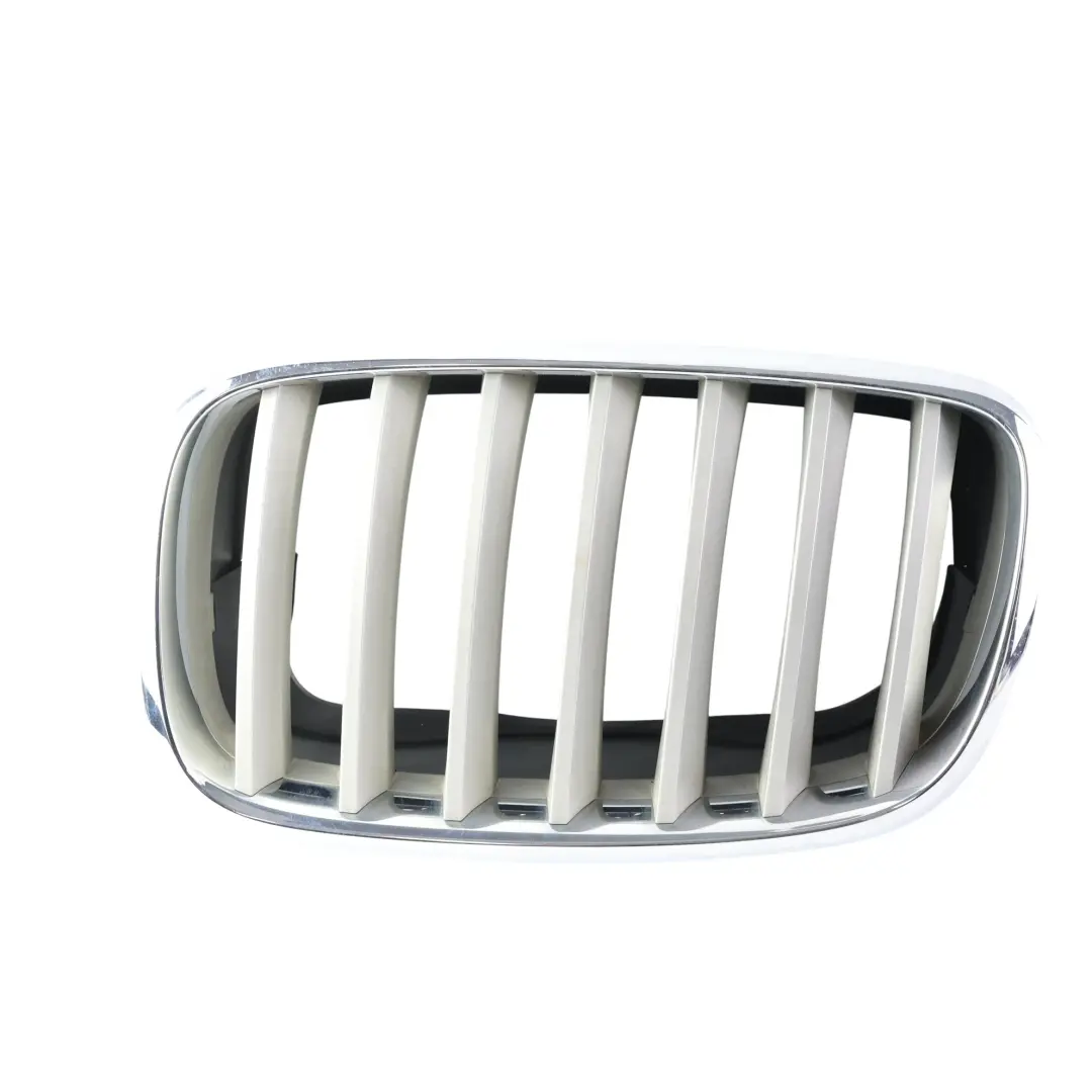 BMW X5 E70 X6 E71 Rejilla Parrilla Delantera Titan Izquierda Derecha SET - SKU 7171396-3 - Número de pieza 7171396
