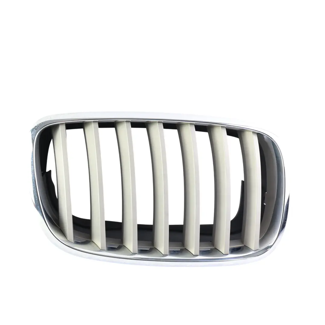 BMW X5 E70 X6 E71 Kratka Zderzaka Nerka Przednia Lewa Prawa Komplet - SKU 7171396-3 - Numer Części 7171396