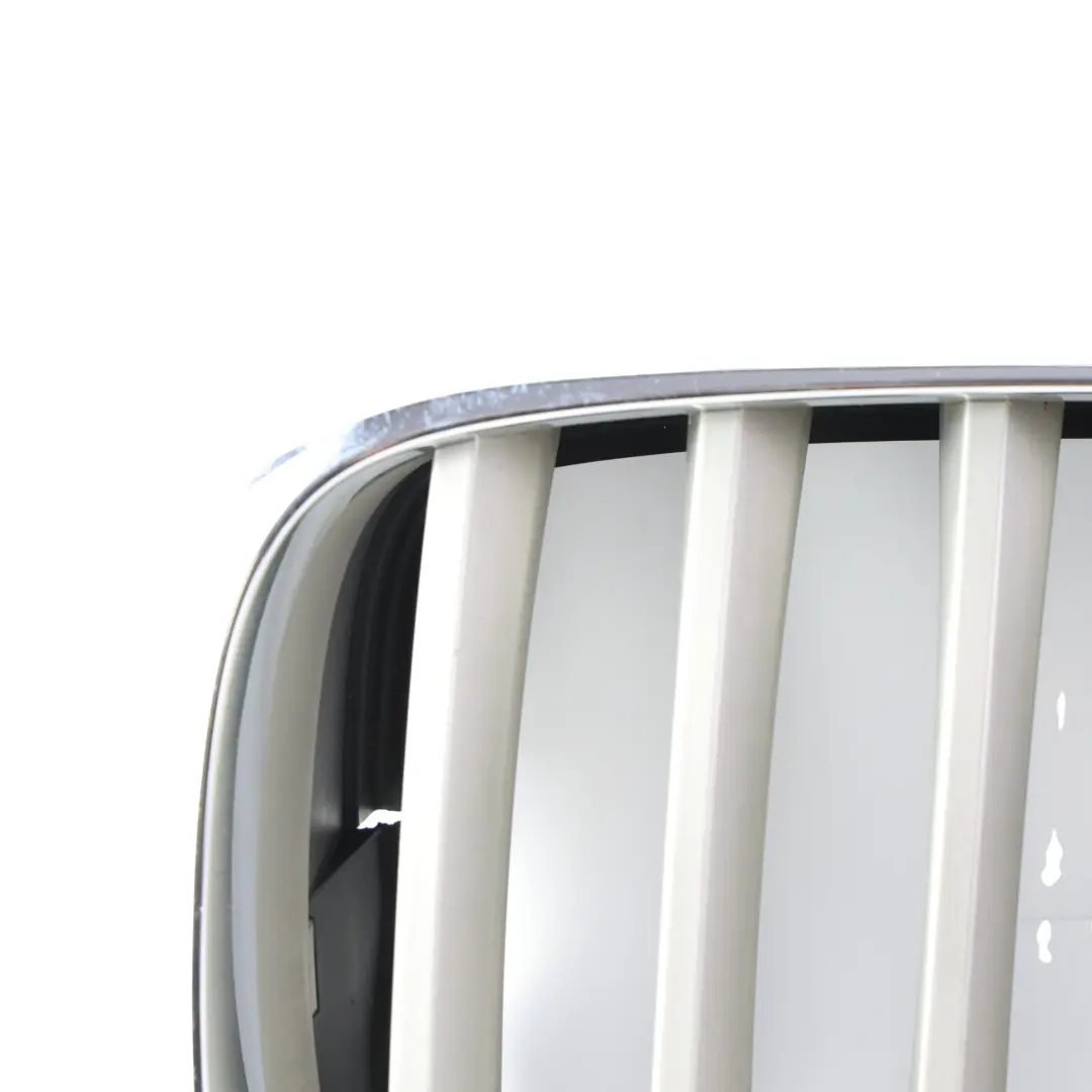 BMW X5 E70 X6 E71 Grille Calandre Avant Kidney Titan Gauche Droite SET - SKU 7171396-3 - Numéro de pièce 7171396