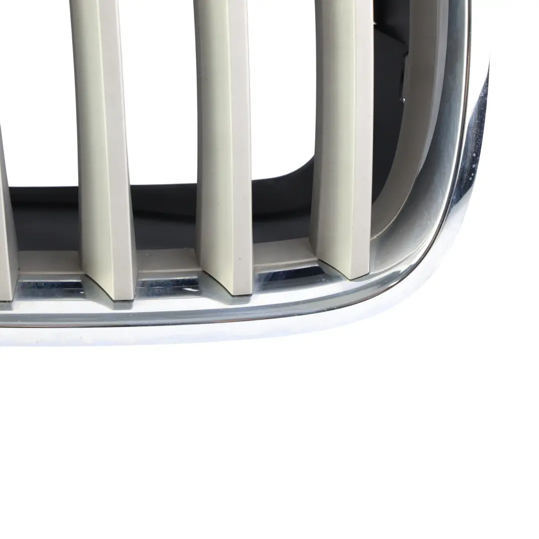 BMW X5 E70 X6 E71 Front Bumper Grille Kidney Titan Left Right N/O/S SET - SKU 7171396-3 - Part number 7171396