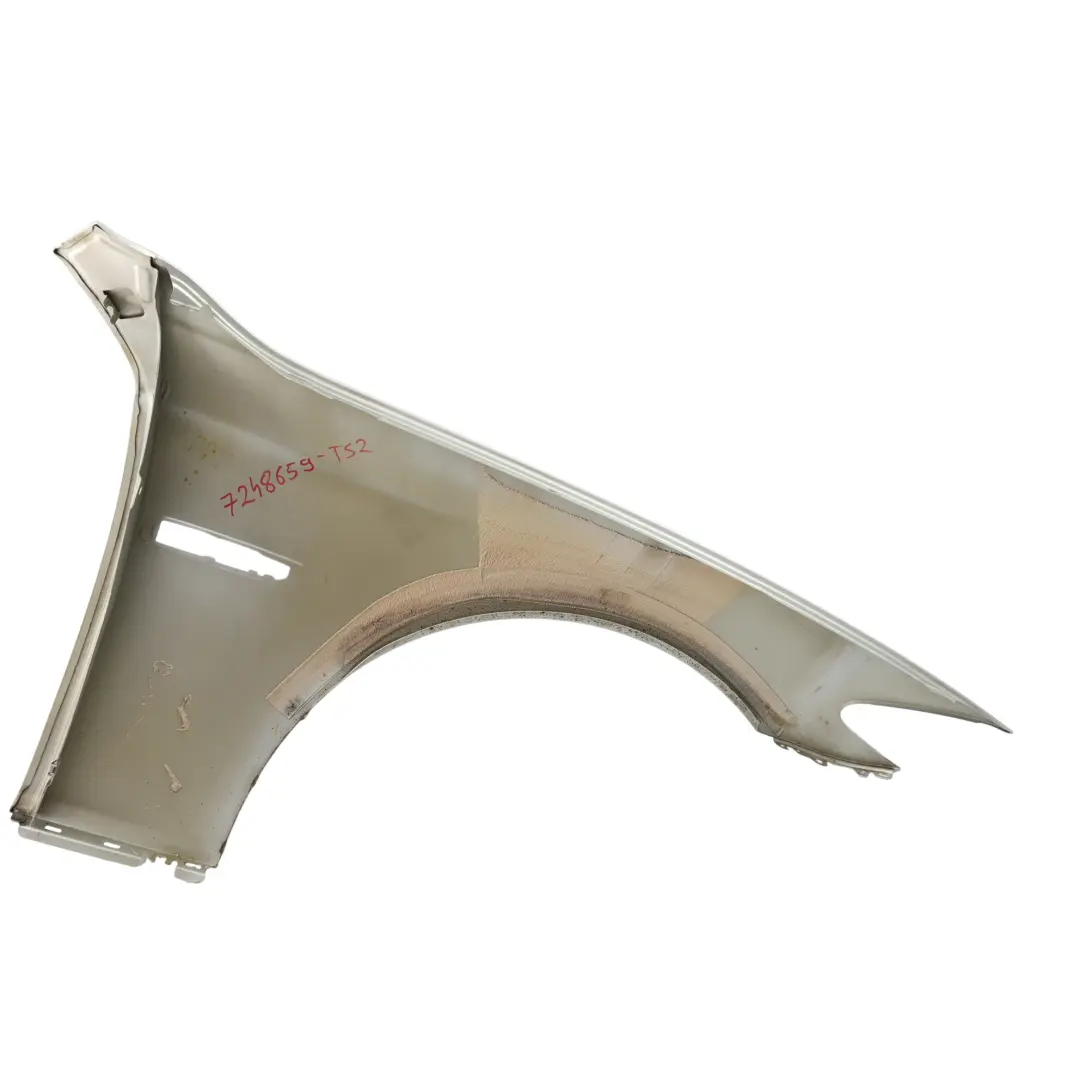 BMW F10 F11 Panel Lateral Delantero Izquierdo Guardabarros Titansilber - 354 - SKU 7248659-TS2 - Número de pieza 7248659