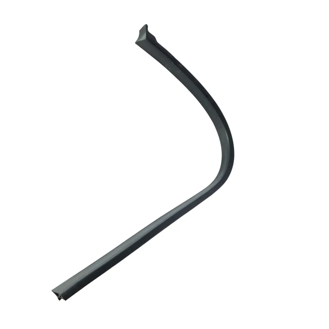 Joint Étanchéité Porte Bande Inférieure Avant Gauche pour BMW F06 Gran Coupe à propos du numéro de pièce 7275295 BMW F06 Gran Coupe Joint Étanchéité Porte Bande Inférieure Avant Gauche - SKU 7275295 - Numéro de pièce 7275295