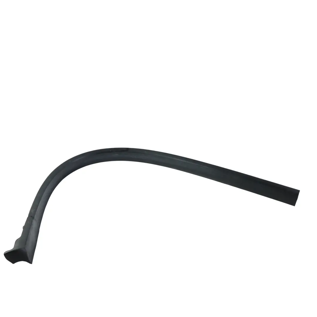 Door Seal Weatherstrip Lower Strip Front Left N/S to BMW F06 Gran Coupe with Part number 7275295 BMW F06 Gran Coupe Door Seal Weatherstrip Lower Strip Front Left N/S - SKU 7275295 - Part number 7275295