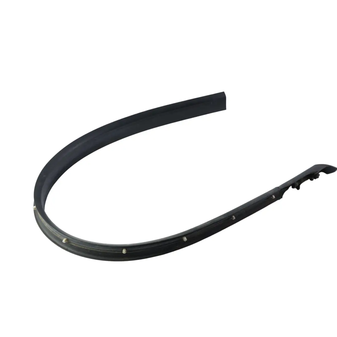 Door Seal Weatherstrip Lower Strip Front Left N/S to BMW F06 Gran Coupe with Part number 7275295 BMW F06 Gran Coupe Door Seal Weatherstrip Lower Strip Front Left N/S - SKU 7275295 - Part number 7275295