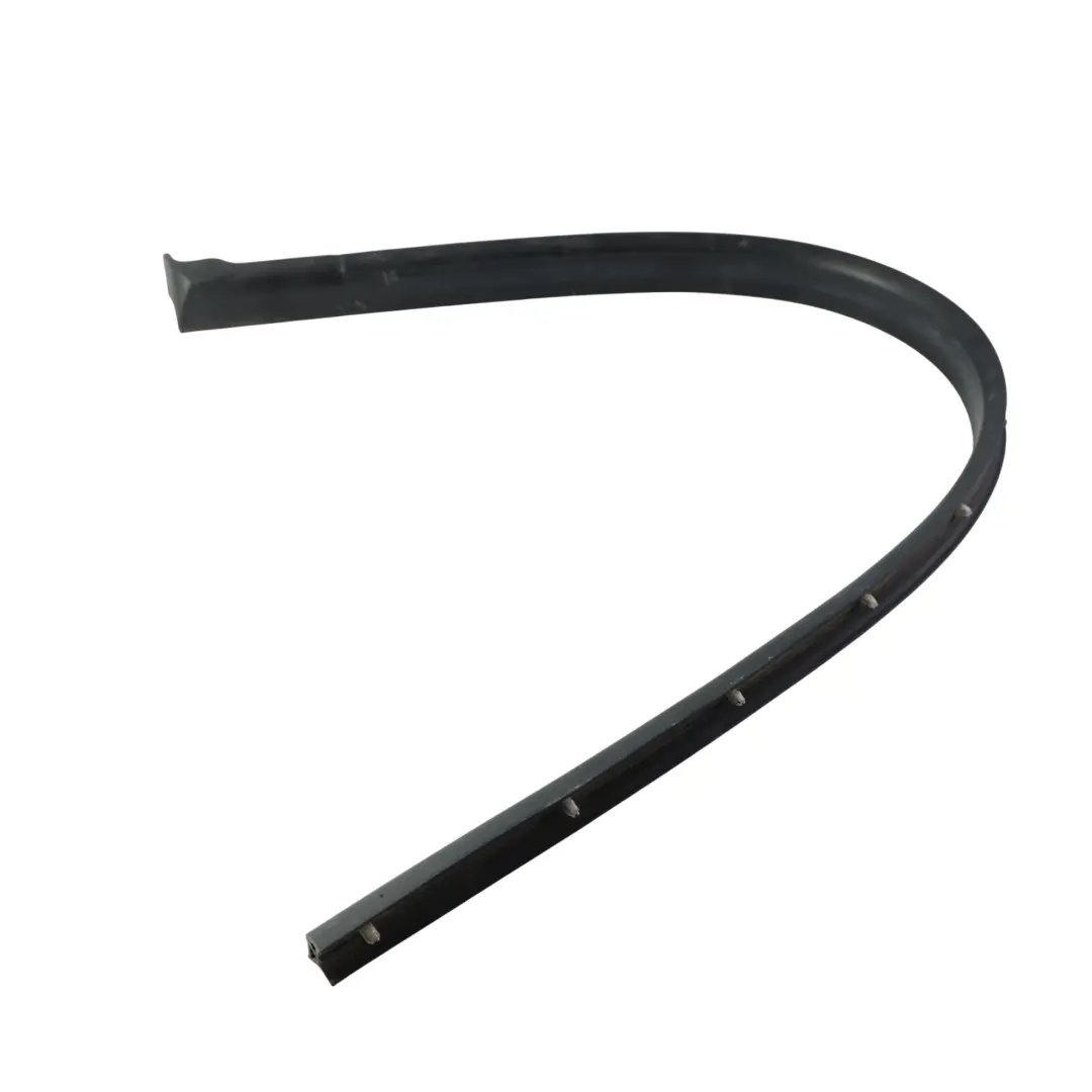 Door Seal Weatherstrip Lower Strip Front Left N/S to BMW F06 Gran Coupe with Part number 7275295 BMW F06 Gran Coupe Door Seal Weatherstrip Lower Strip Front Left N/S - SKU 7275295 - Part number 7275295
