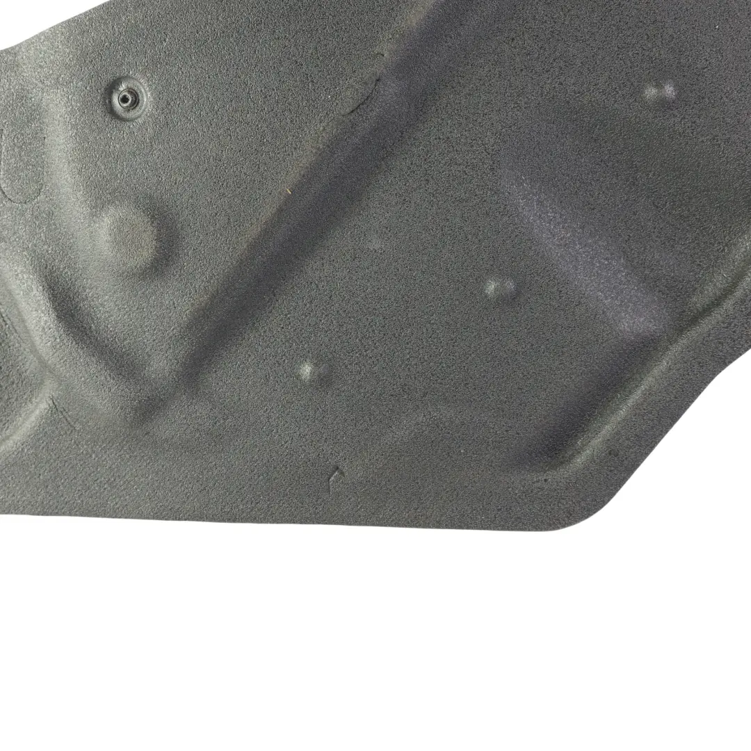 BMW X3 F25 X4 F26 Pannello Isolamento Acustico Porta Posteriore Sinistra - SKU 7350881 - Numero di parte 7350881