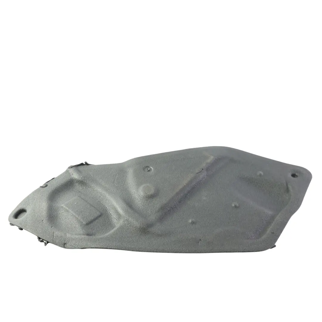 BMW X3 F25 X4 F26 Pannello Isolamento Acustico Porta Posteriore Sinistra - SKU 7350881 - Numero di parte 7350881