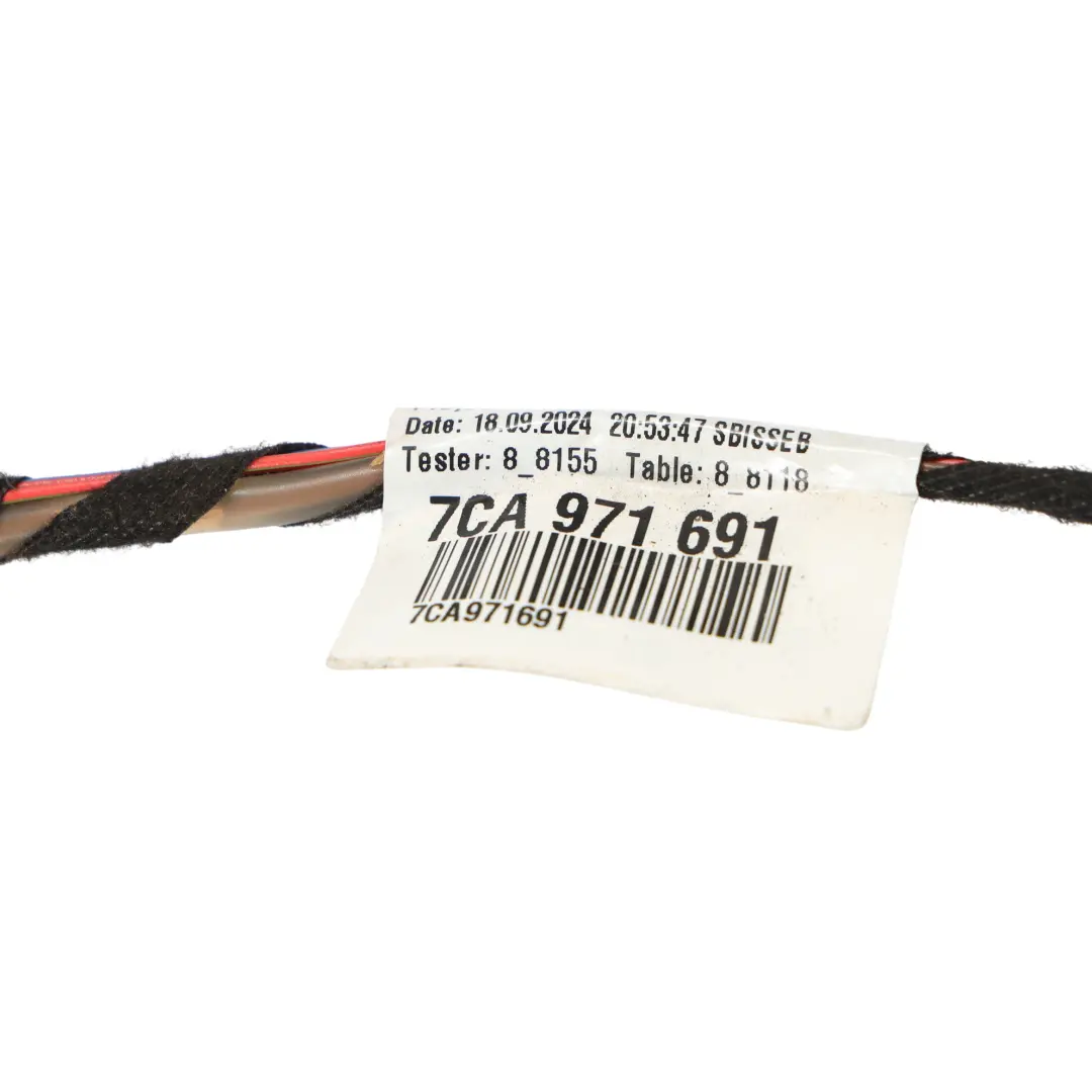 Volkswagen Crafter SY Faisceau Câblage Porte Coulissante Gauche - SKU 7CA971691 - Numéro de pièce 7CA971691