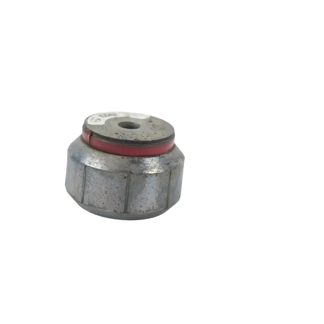 Hinterachse Aufhängung Schwingungsdämpfer für BMW U06 X1 U11 mit Teilenummer 8849349 BMW U06 X1 U11 Hinterachse Aufhängung Schwingungsdämpfer - SKU 8849349 - Teilenummer 8849349