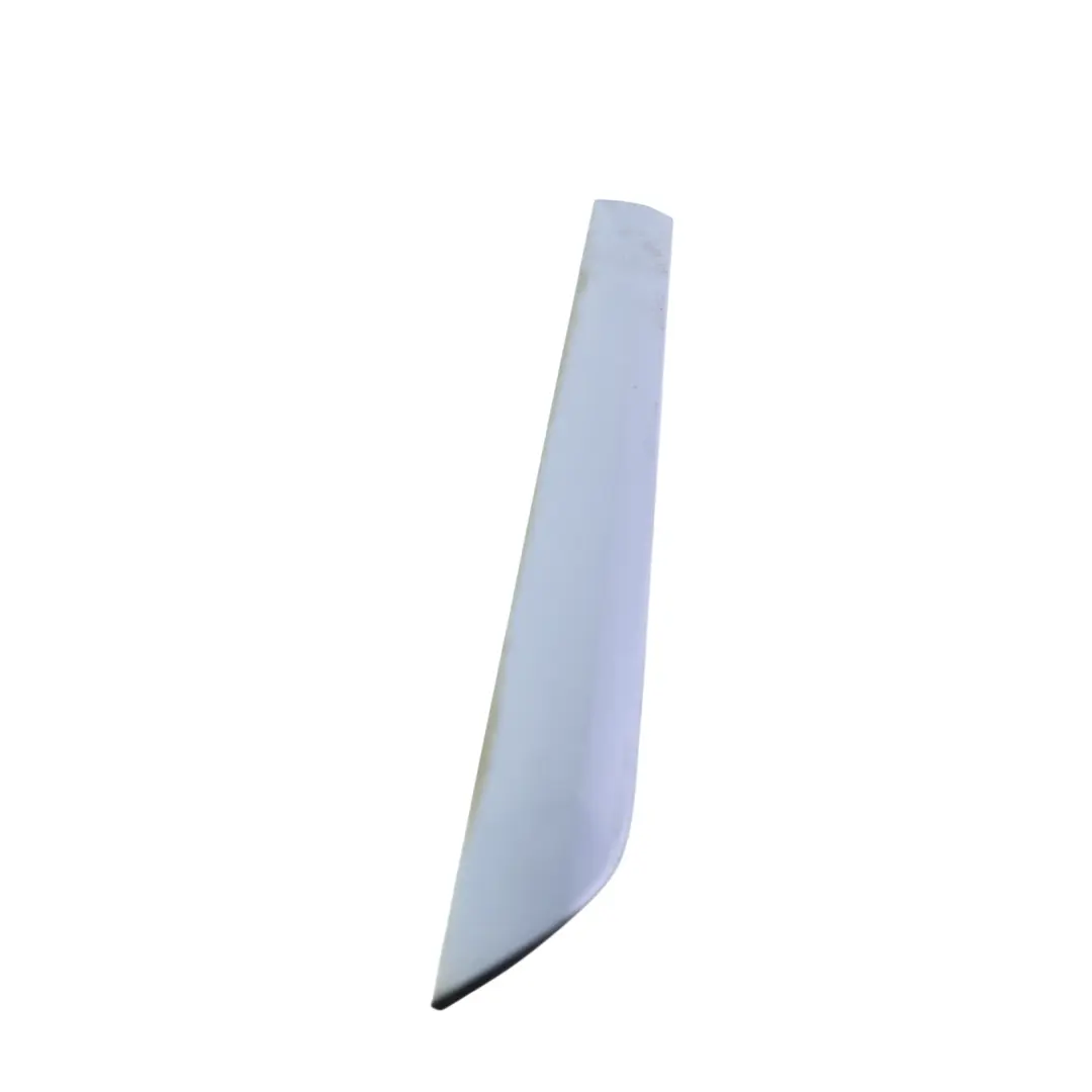 Door Trim Moulding Strip Right O/S Akoya Silver Metallic Y7H to Audi A3 8P Rear with Part number 8P4853970F Audi A3 8P Rear Door Trim Moulding Strip Right O/S Akoya Silver Metallic Y7H - SKU 8P4853970F-ASI - Part number 8P4853970F