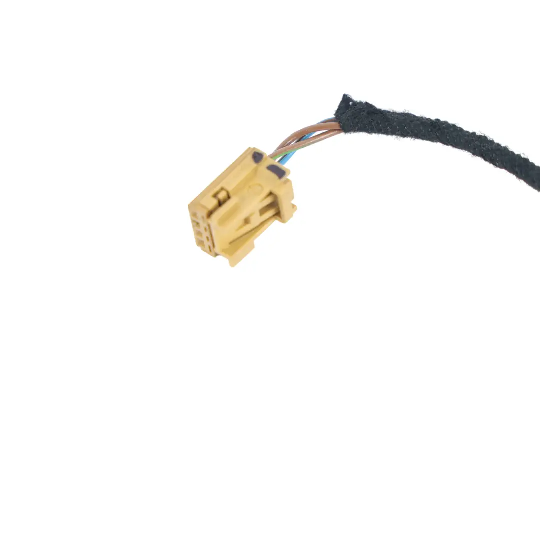 Audi A3 8P Türkarte Kabelbaum Beifahrerseite Vorne - SKU 8P4971036E - Teilenummer 8P4971036E