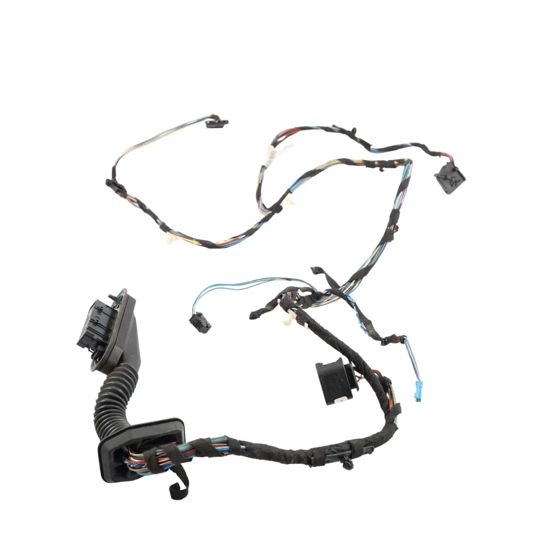 BMW E81 E82 Driver's Door Wiring Loom Harness Cables - SKU 9260902 - Part number 9260902