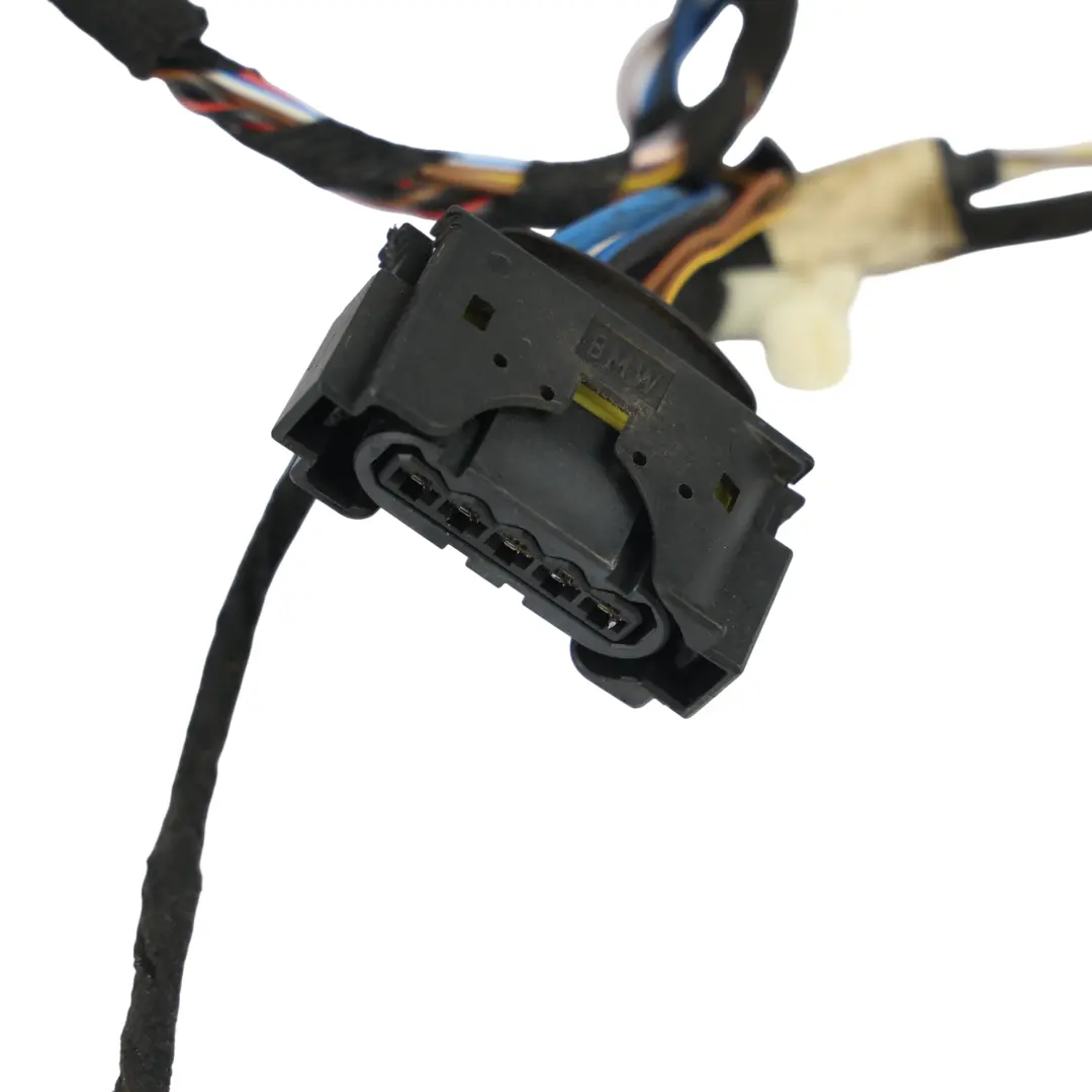Cablaggio Porta Lato Passeggero per Mini F55 con numero di parte 9389248 Mini F55 Cablaggio Porta Lato Passeggero - SKU 9389248 - Numero di parte 9389248