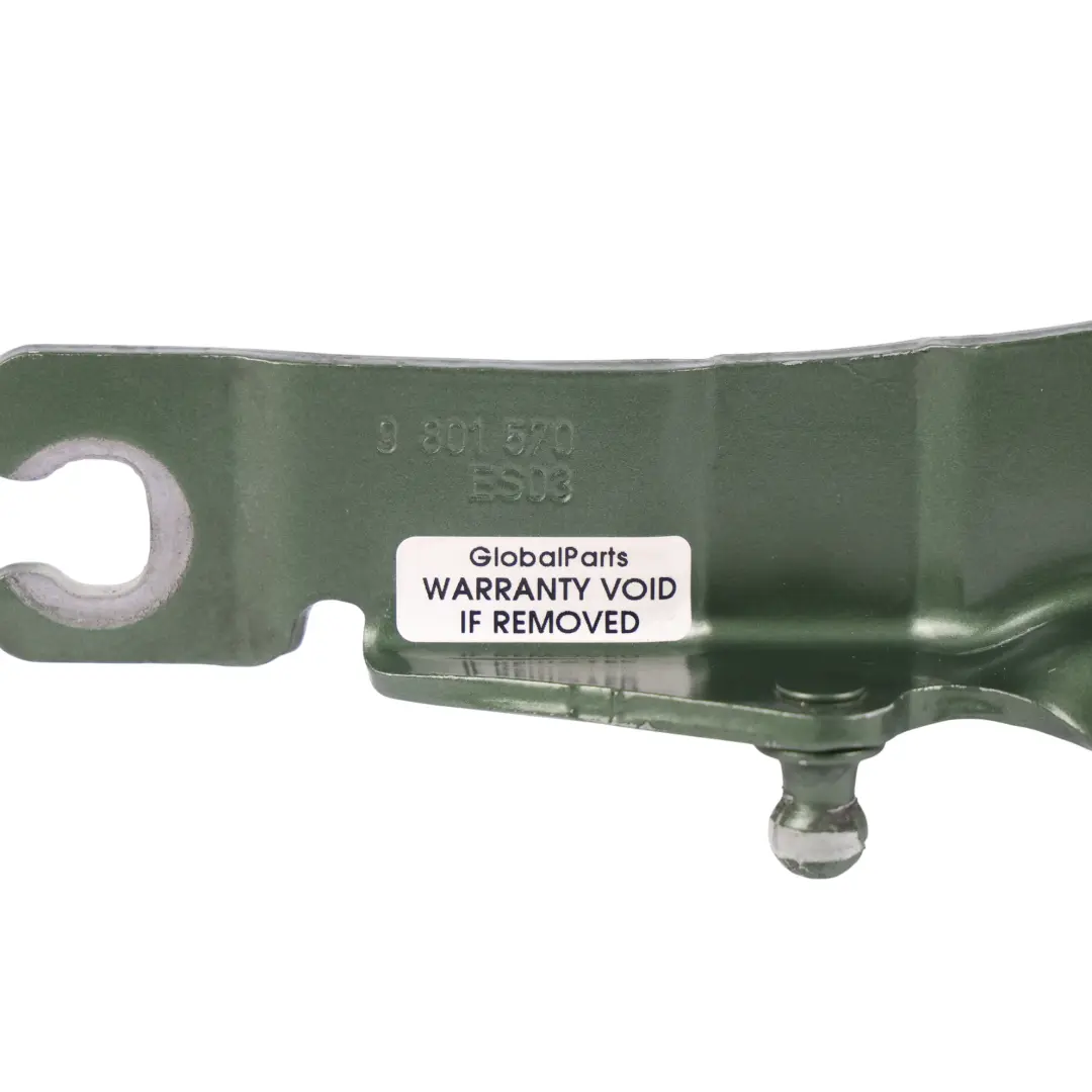 Mini R60 Bisagra Capó Delantera Derecha Verde Jungle - C15 - SKU 9801570-JG - Número de pieza 9801570