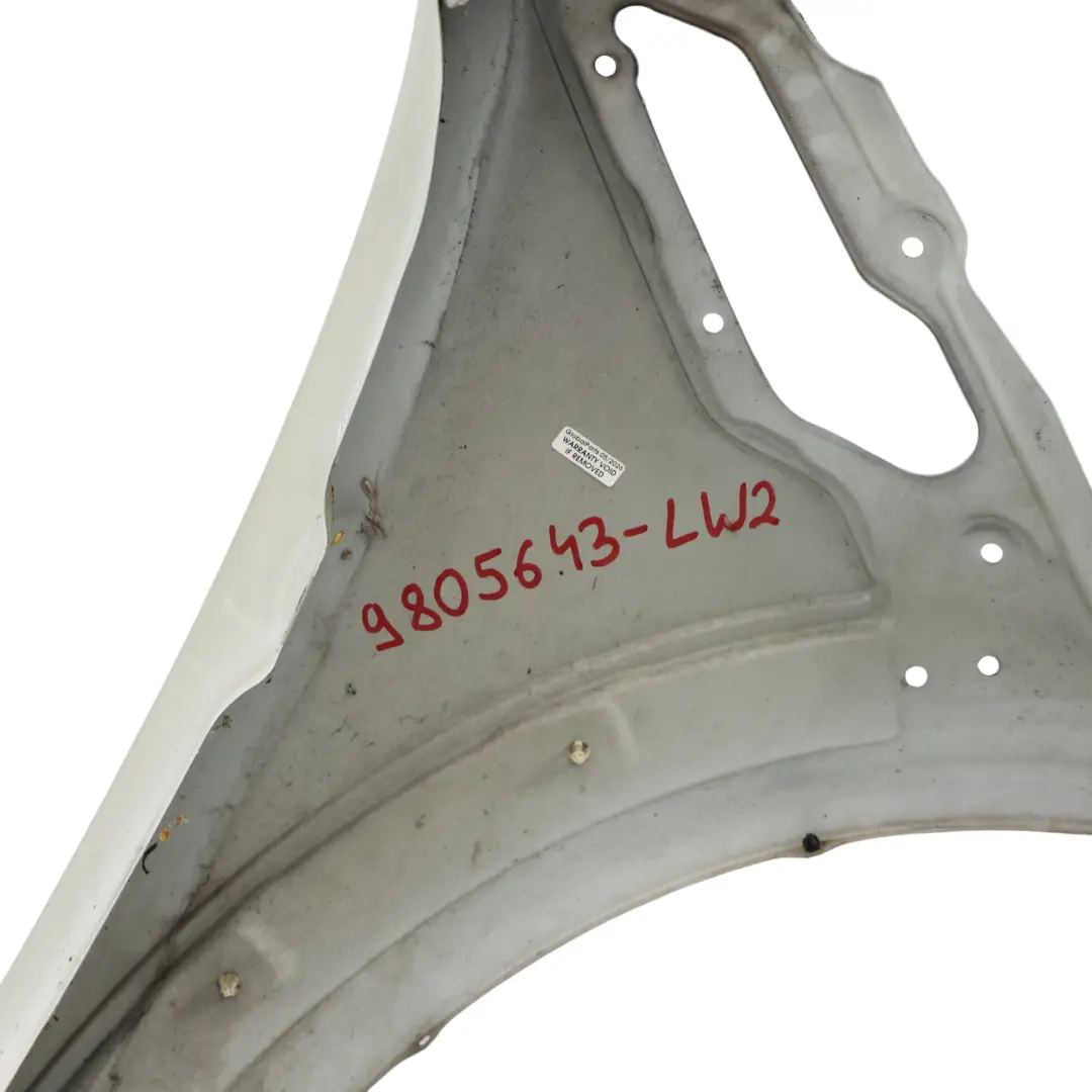 Mini Countryman Paceman R60 R61 Seitenverkleidung Vorne Links Flügel Licht Weiß - SKU 9805643-LW2 - Teilenummer 9805643