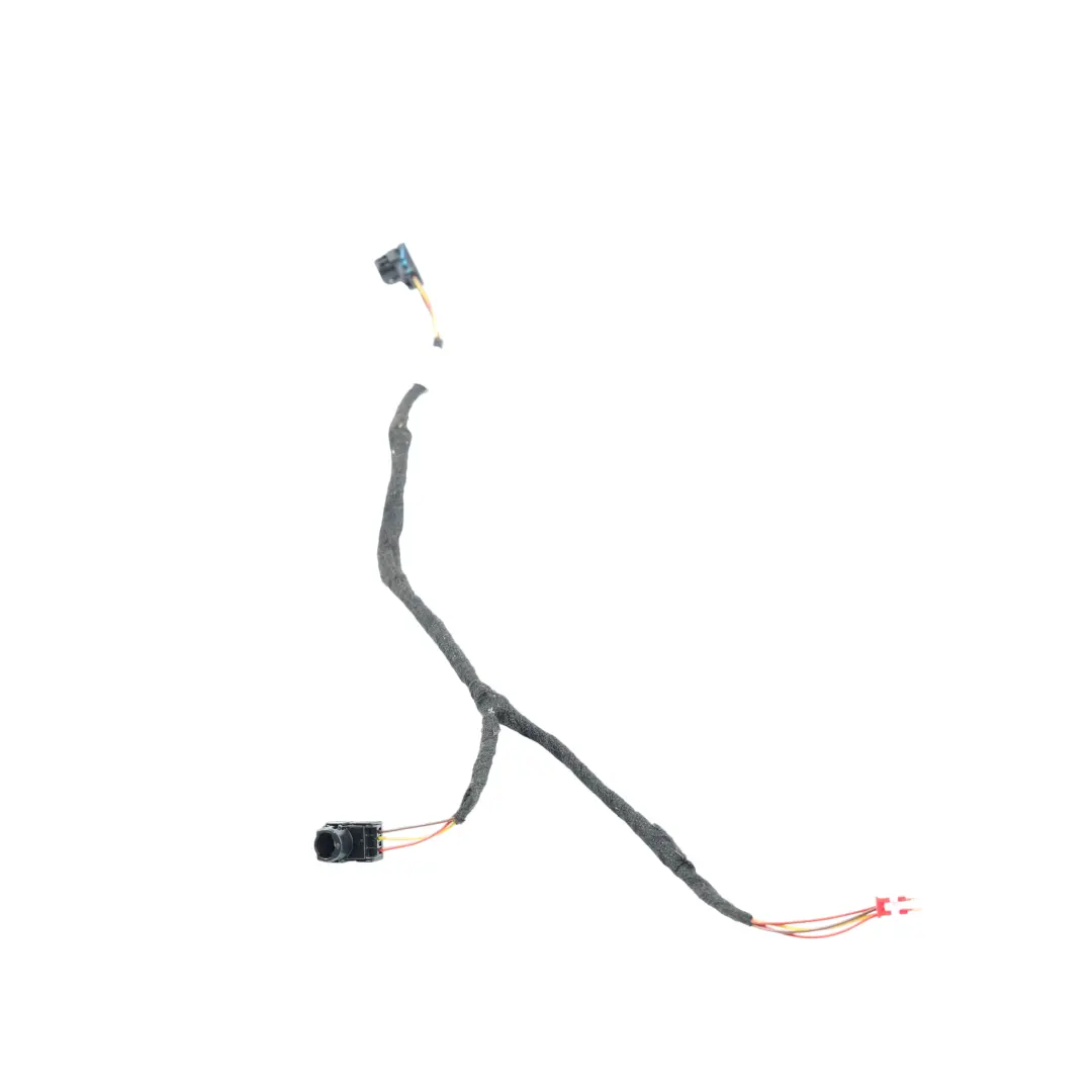 Porsche Cayenne S 92A Lámpara Ambiental Arnés Puerta Trasera Izq - SKU A2059061805 - Número de pieza A2059061805