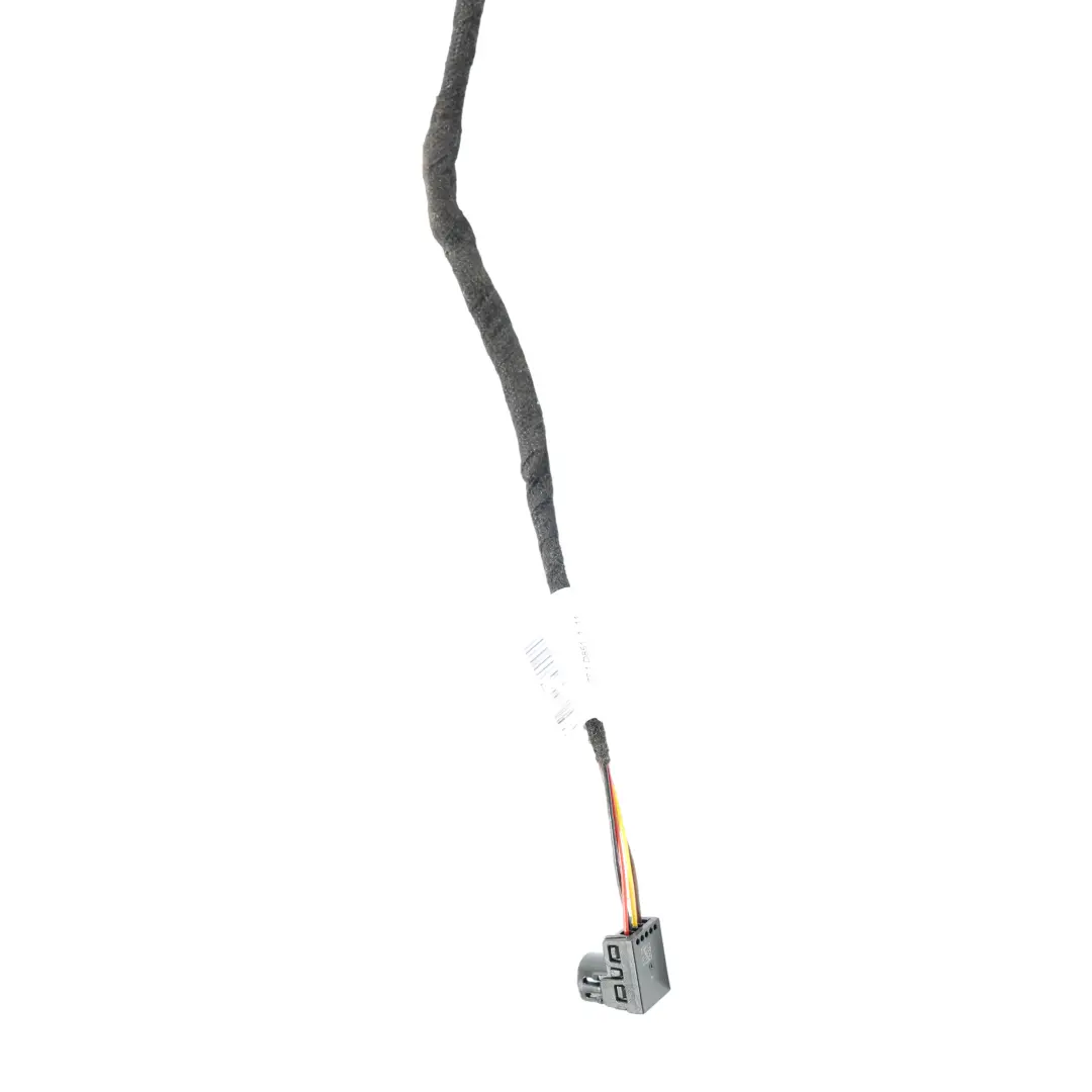 Lampada Cablaggio Porta Posteriore Sinistra per Porsche Cayenne S 92a con numero di parte A2059061805 Porsche Cayenne S 92a Lampada Cablaggio Porta Posteriore Sinistra - SKU A2059061805 - Numero di parte A2059061805