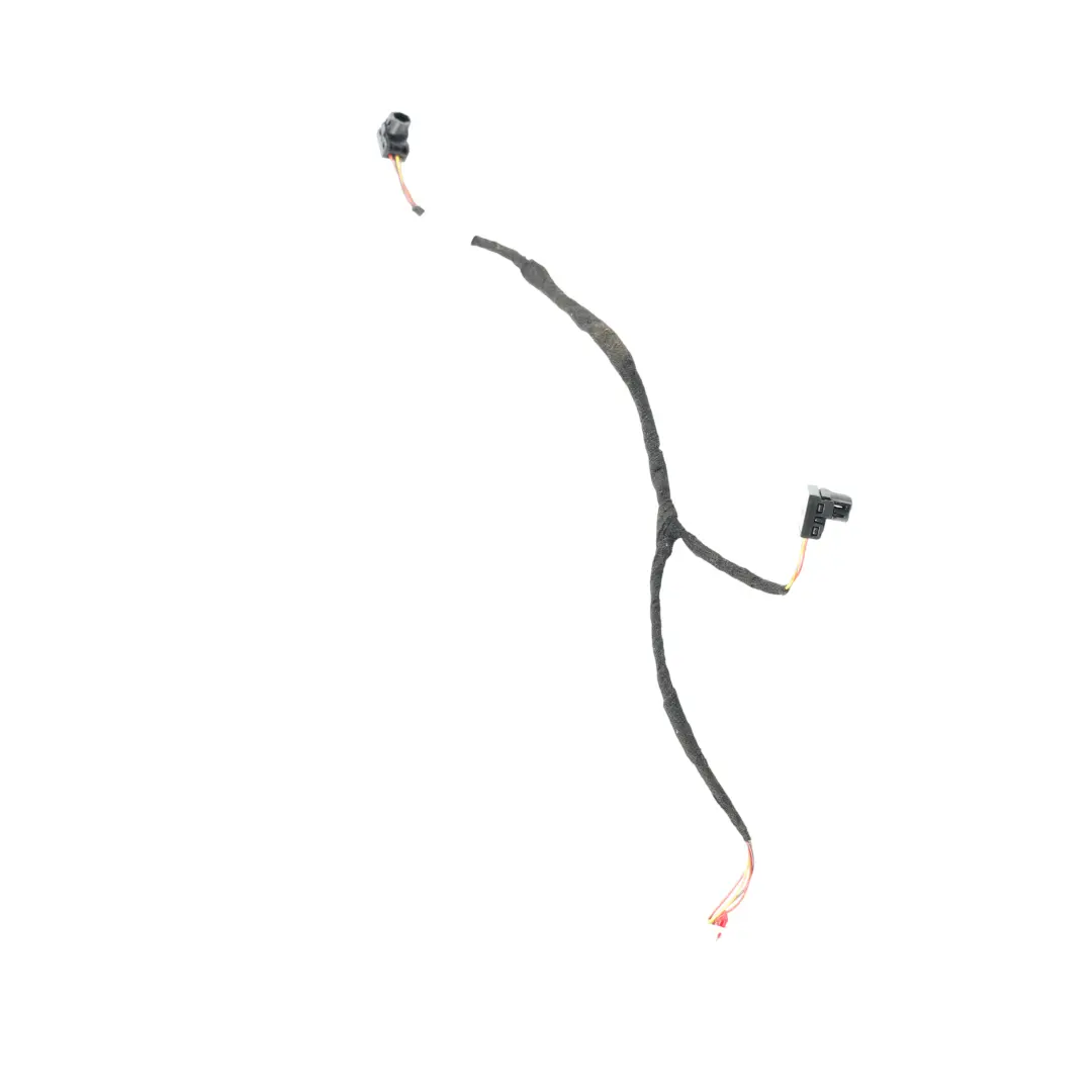 Lampada Cablaggio Porta Posteriore Sinistra per Porsche Cayenne S 92a con numero di parte A2059061805 Porsche Cayenne S 92a Lampada Cablaggio Porta Posteriore Sinistra - SKU A2059061805 - Numero di parte A2059061805